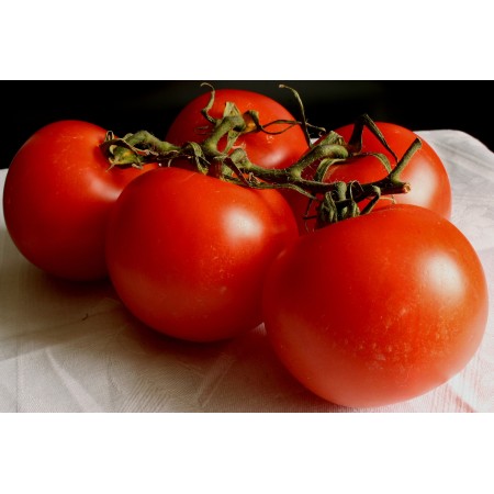 Tomates