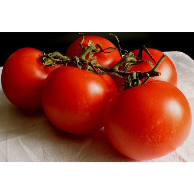 Tomates